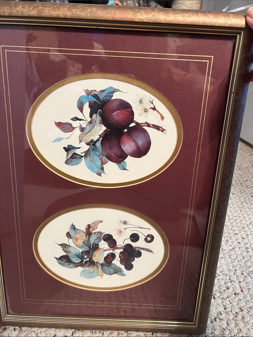 Vintage Botanical Fruit Print Wall Art - Burgundy Mat